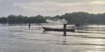 Día Mundial de la Pesca: Guatemala refuerza acciones para promover la pesca responsable. Foto: MAGA
